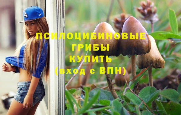 МДПВ Пересвет