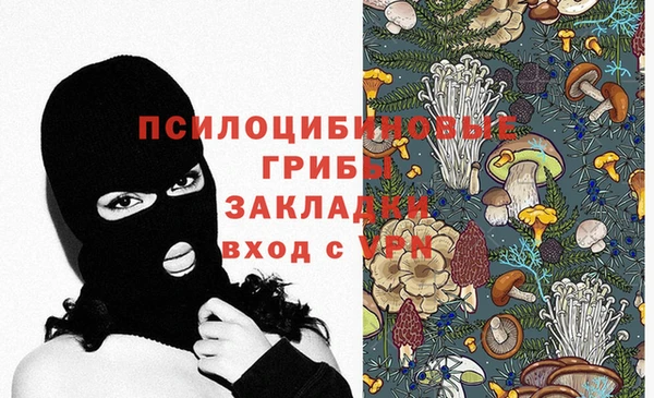 твердый Абаза