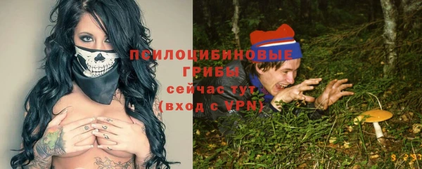 молекула духа Переславль-Залесский